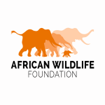 African Wildlife Foundation African Wildlife Foundation